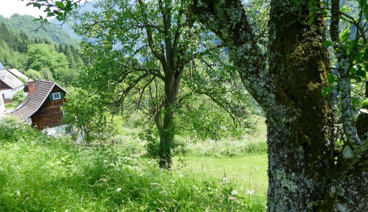 Romantische Ferienhuette Nationalpark Kalkalpen, Sonnig, 2 Schlafzimmer, Wlan Kleinreifling Eksteriør billede